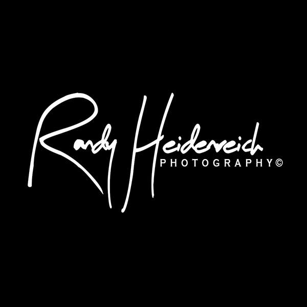 American Landscapes LLC